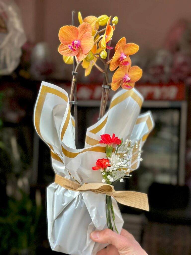 Dörtyol Orkide Çiçek